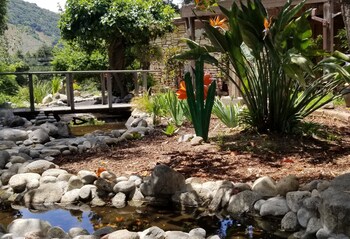 Hotel Exterior at Carmel Valley Lodge and Resort