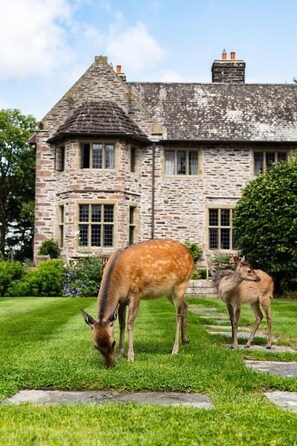 Garden - Ard na Sidhe Country House Hotel (Caragh)