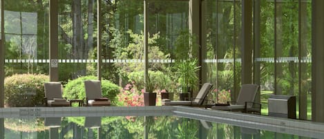 Indoor pool, sun loungers