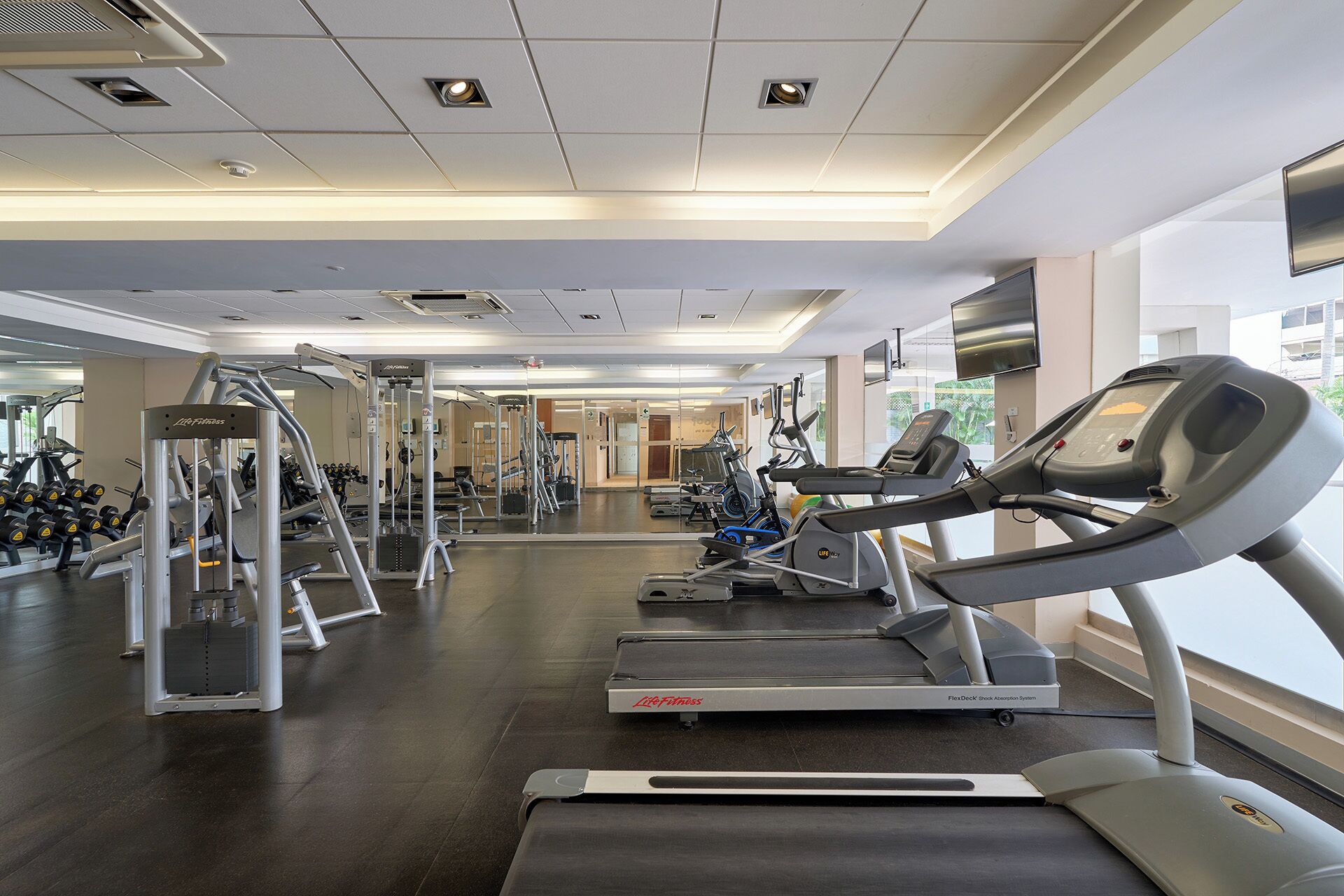 Gimnasio