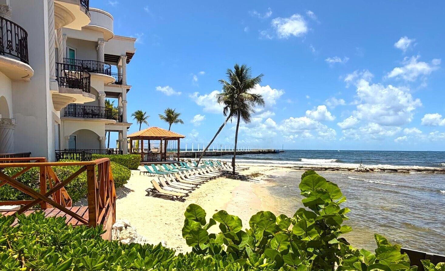 A beachfront hotel with a pool area, palm trees, and a view of the ocean.