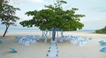 Outdoor wedding area