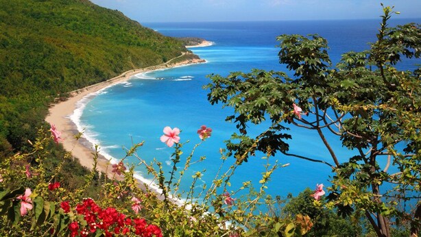 Un paisaje costero con playa, océano y vegetación.