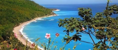 Playa en los alrededores y traslado desde/hacia la playa 