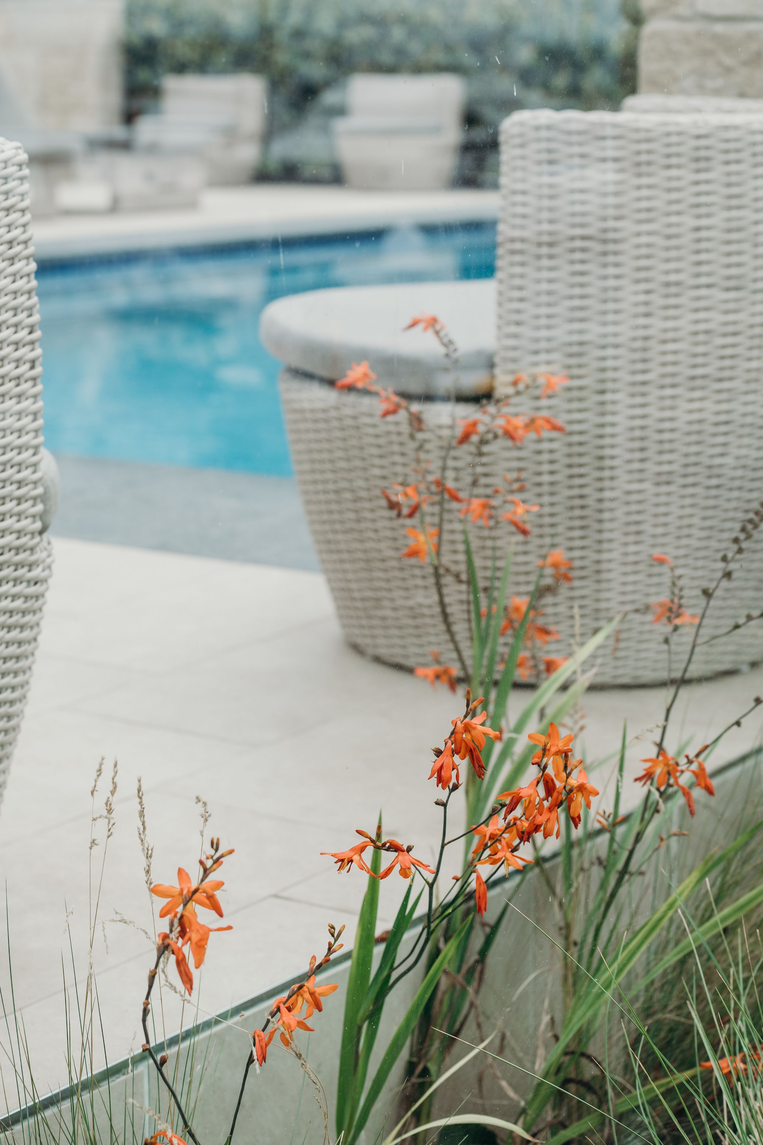 A poolside area with wicker furniture and orange flowers.