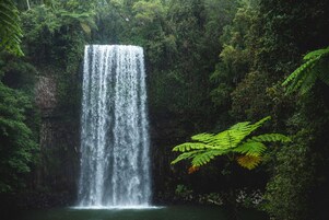 A waterfall surrounded by dense forest.