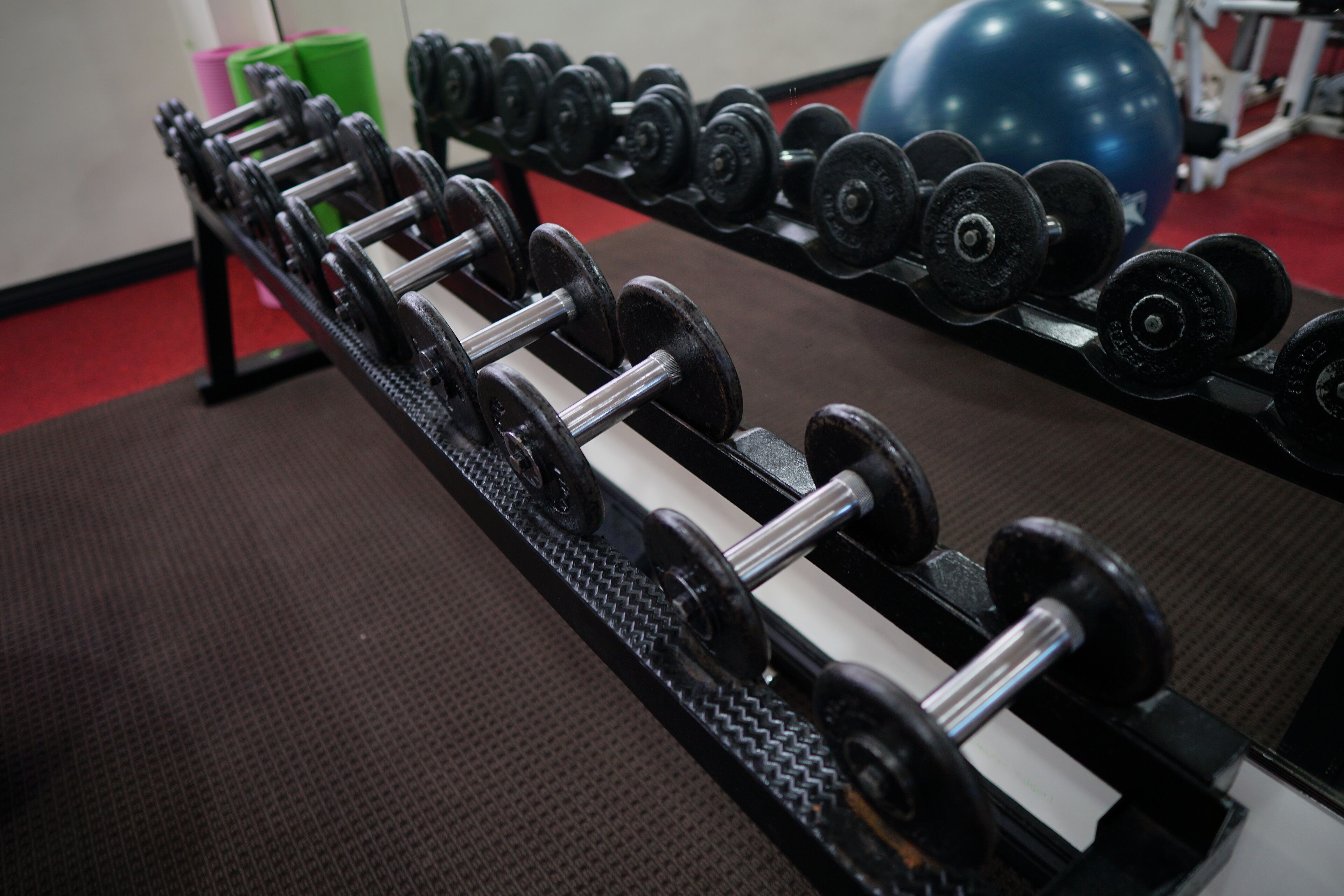 A row of dumbbells on a rack in a gym.