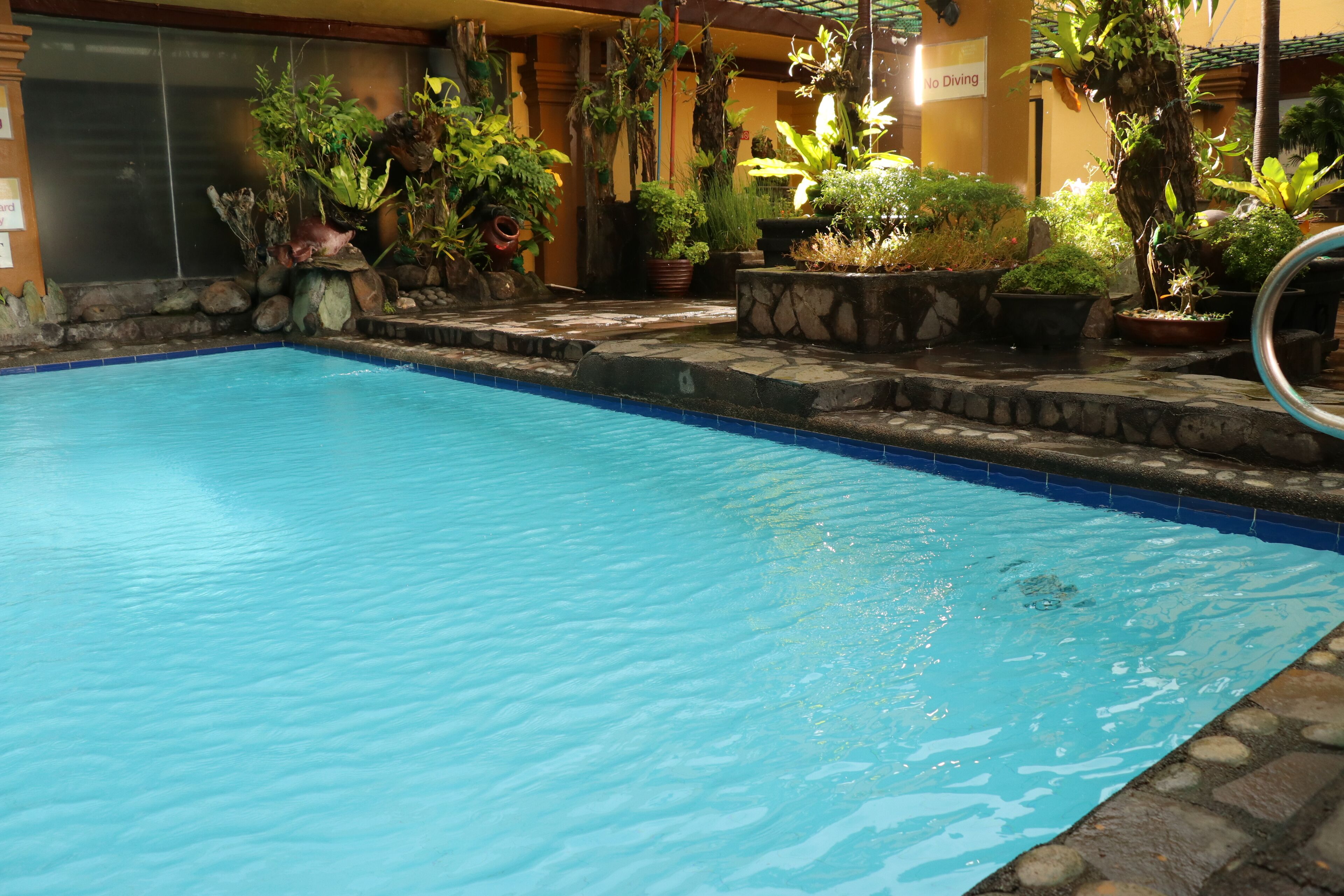 Outdoor pool, open 7 AM to 5 PM, pool loungers