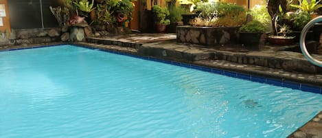 A swimming pool with a stone edge and surrounding potted plants.