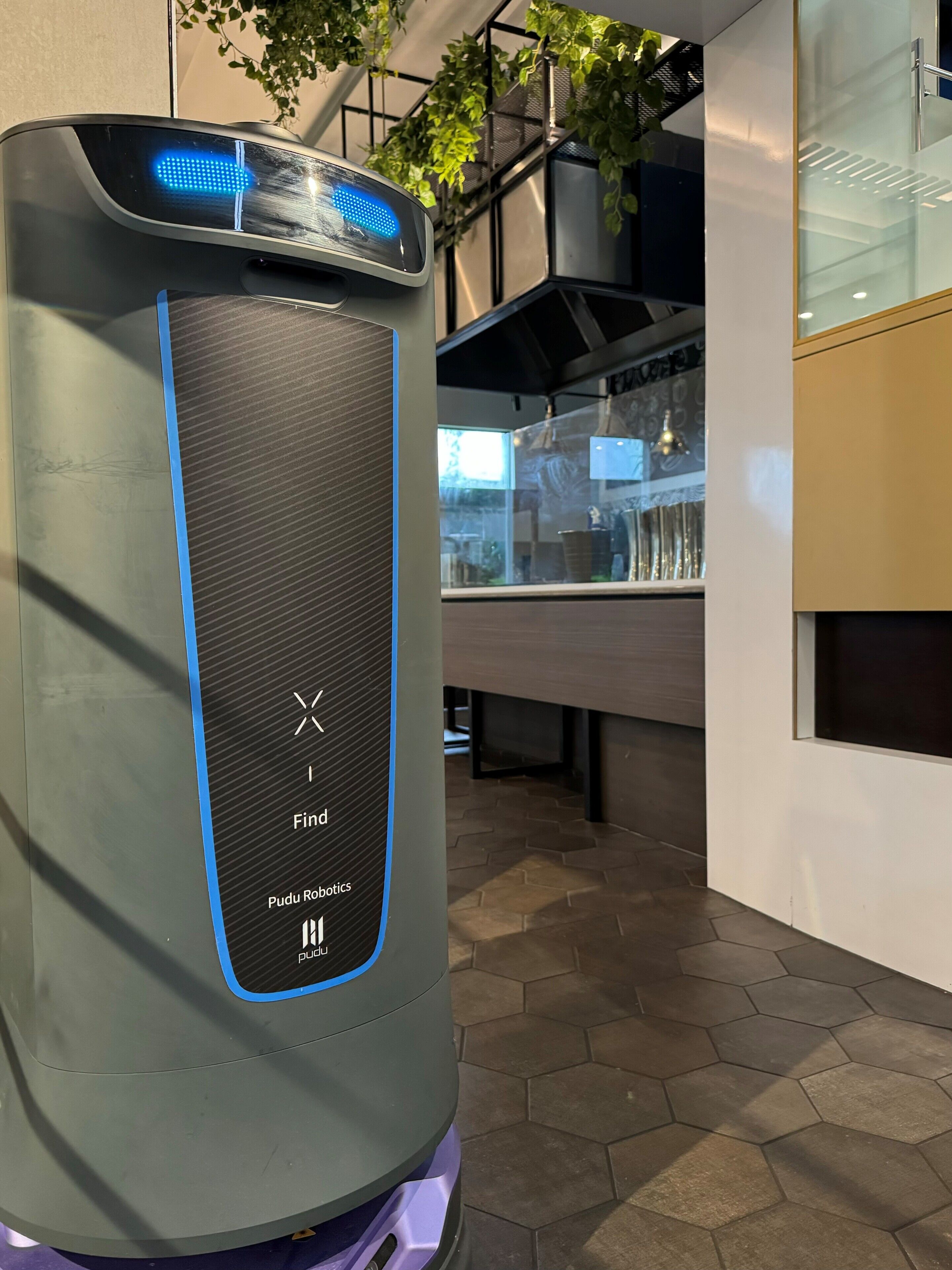 cleanliness standards