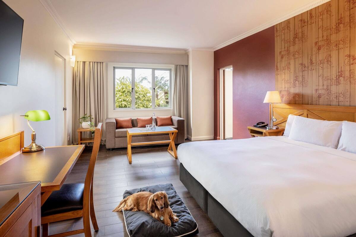 A hotel room with a bed, a sofa, a desk, a chair, and a dog bed.