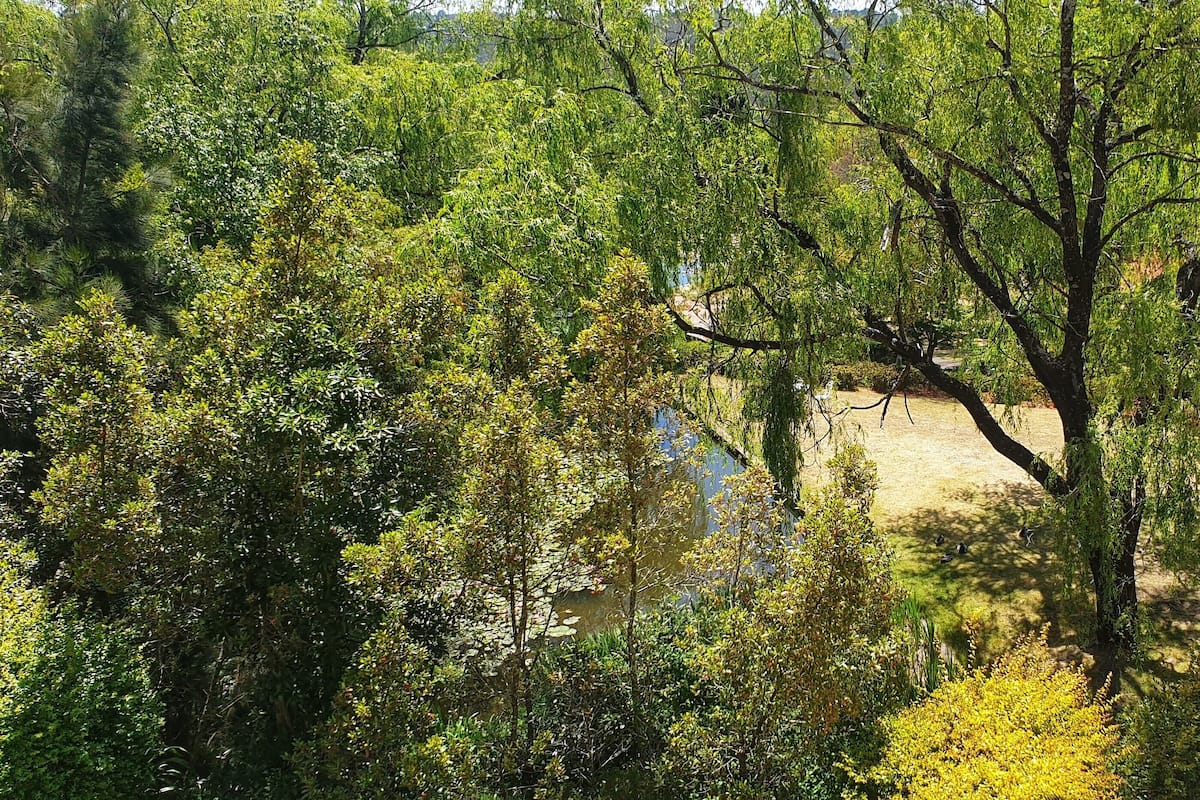 View from room