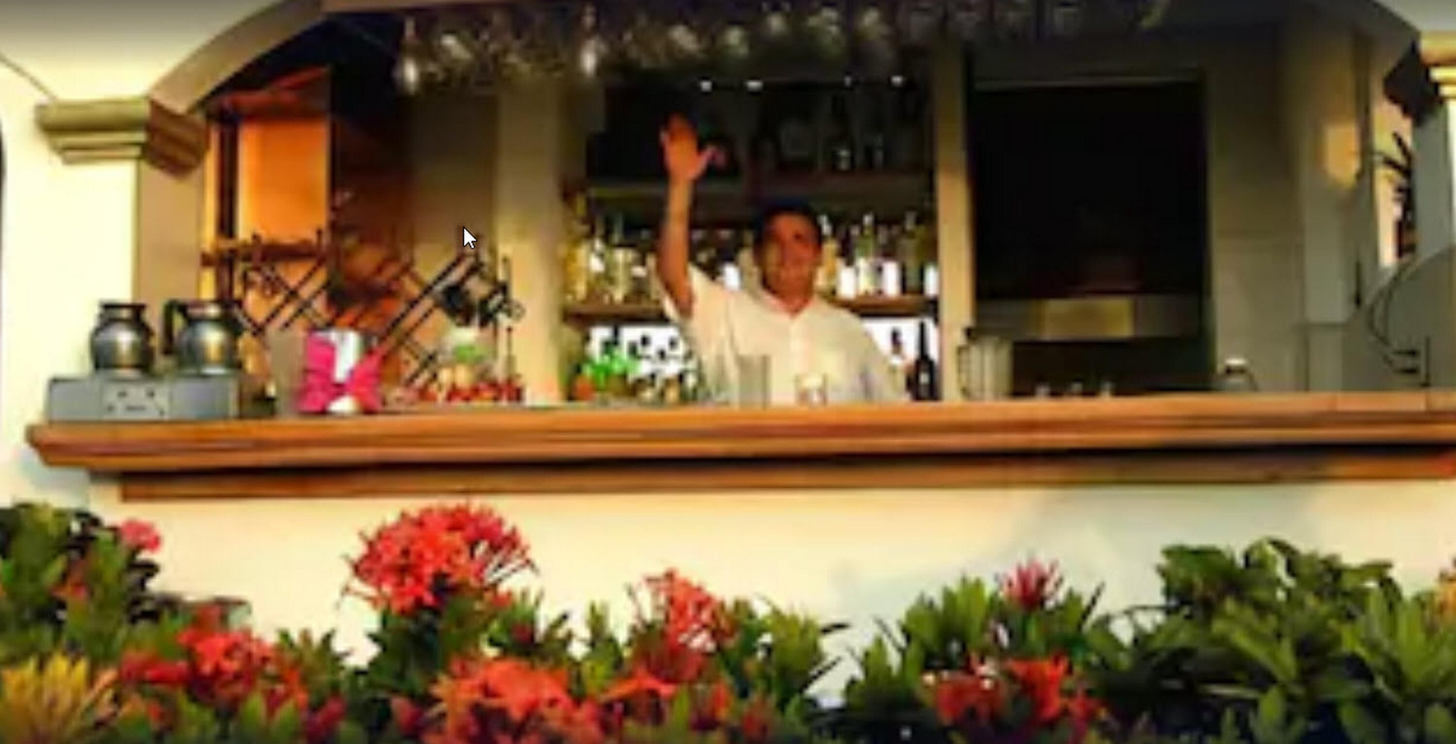 A bar area with a counter, shelves with bottles, and a decorative plant arrangement.