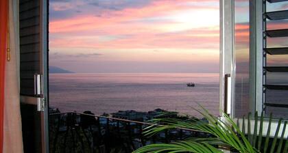 Hotel Suites La Siesta