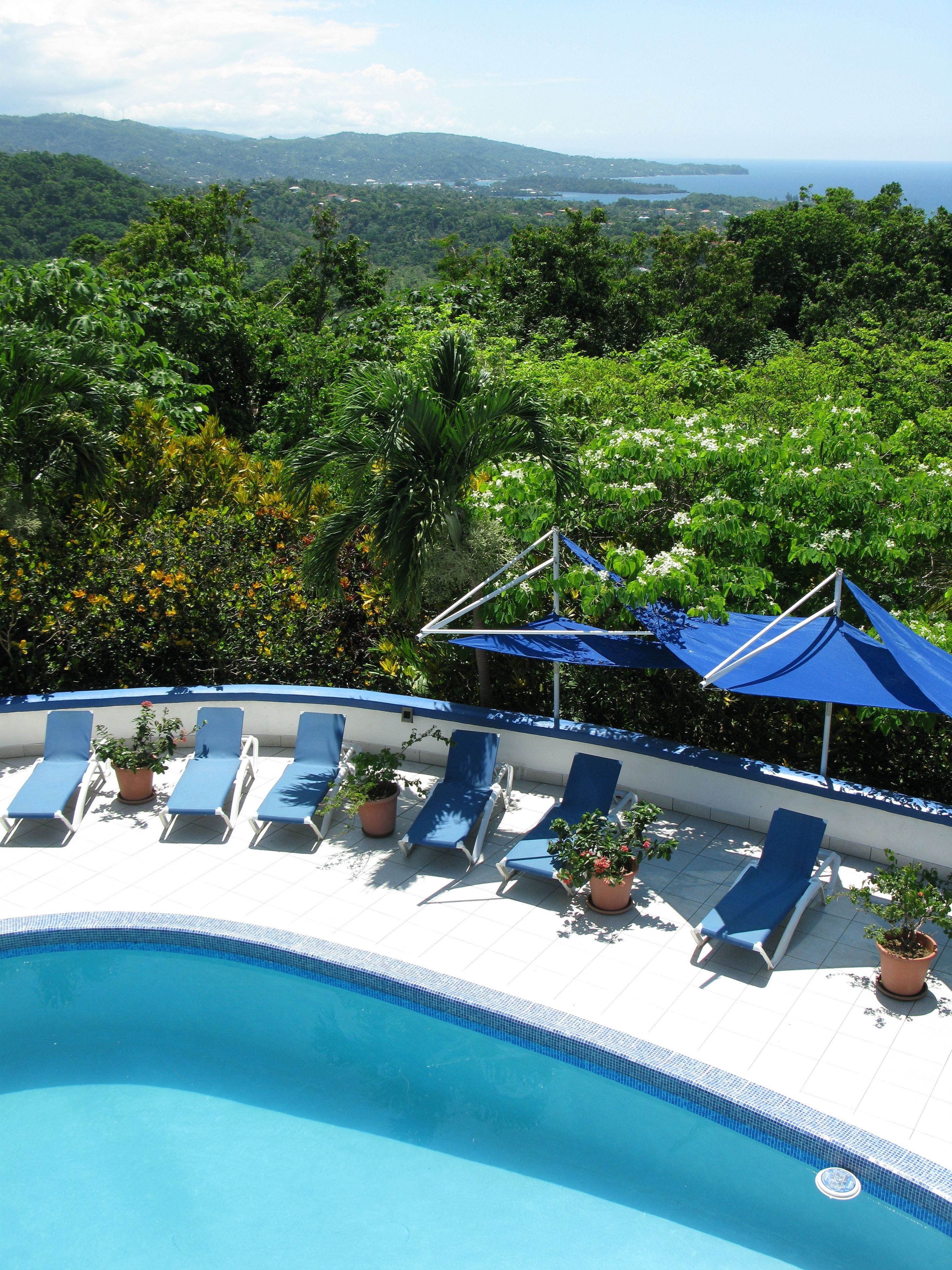 outdoor pool, pool loungers