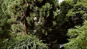 Uklassifisert bilde, 4 av 136, knapp