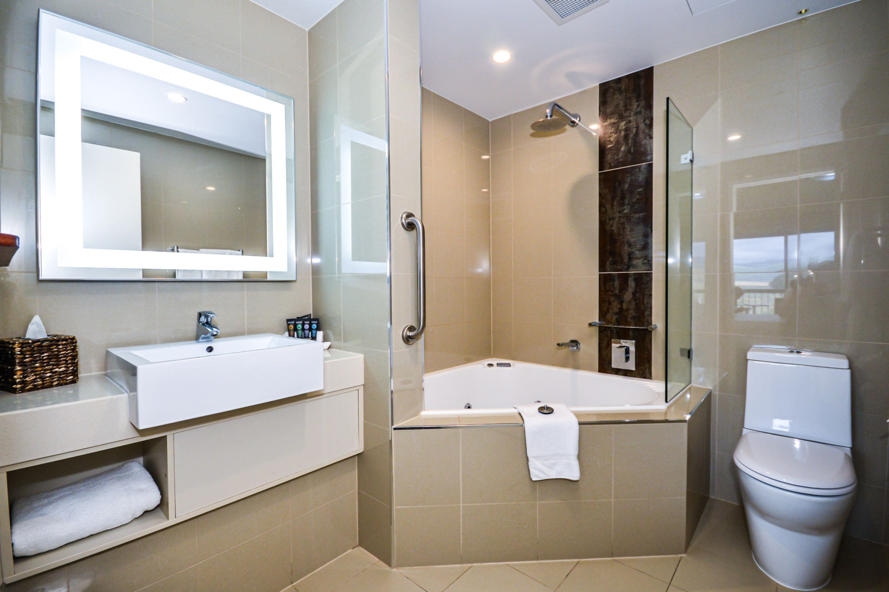 eco-friendly toiletries, hair dryer, towels, soap