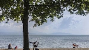 A beach with a bicycle, a tree, and a person sitting on the sand.