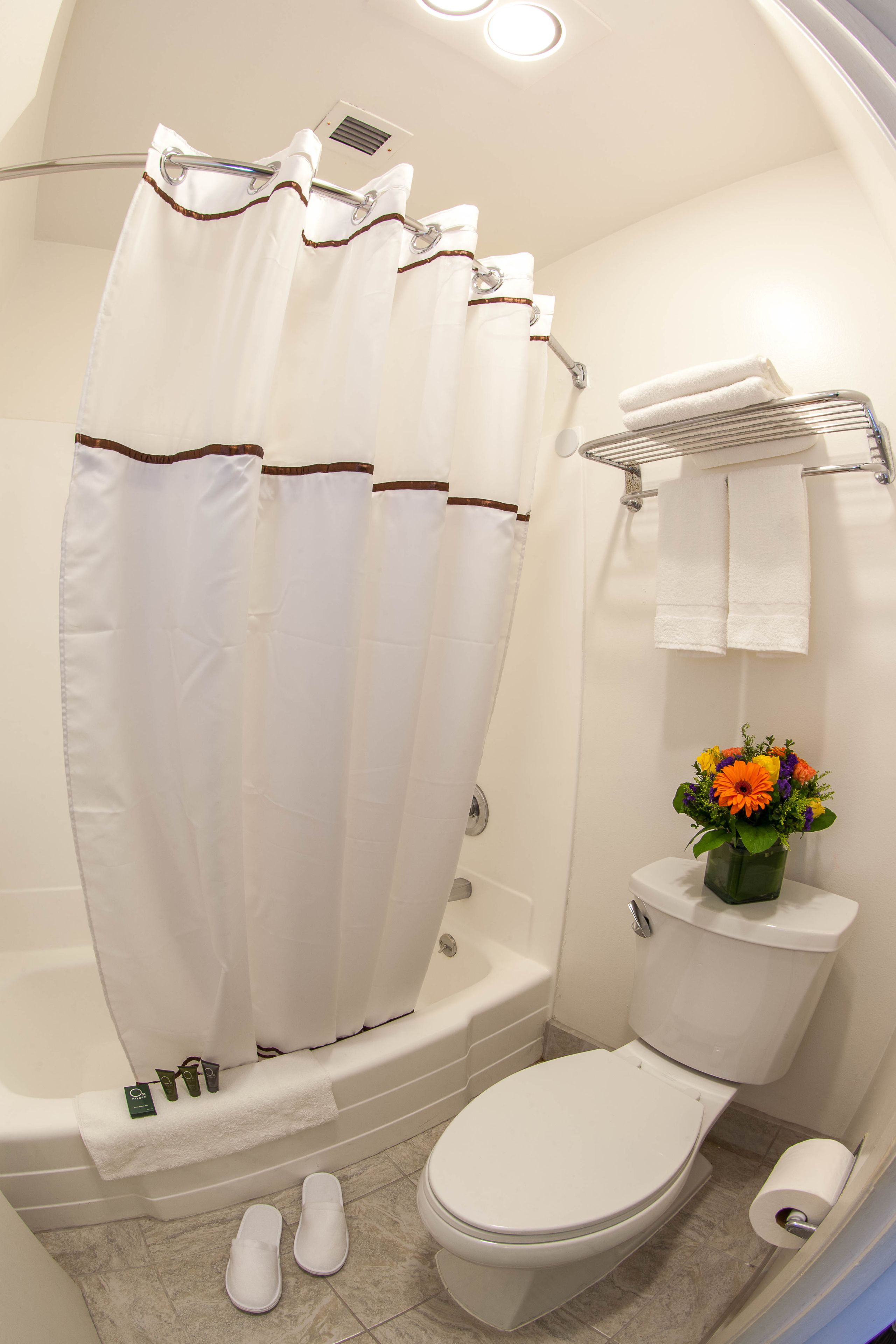 Foto - Hotel Focus SFO