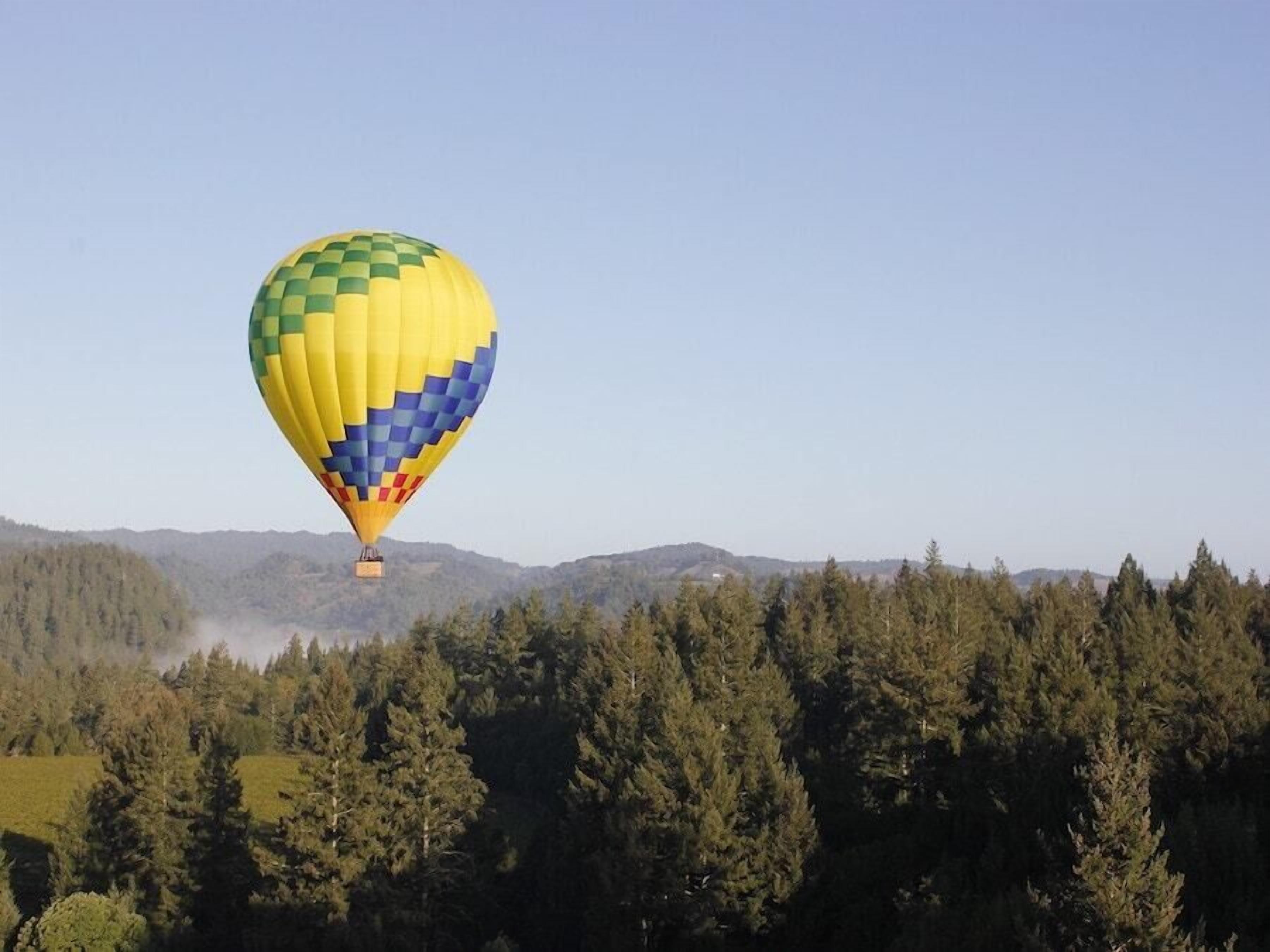 Un globo aerostático con un estampado a cuadros sobrevolando una zona boscosa.