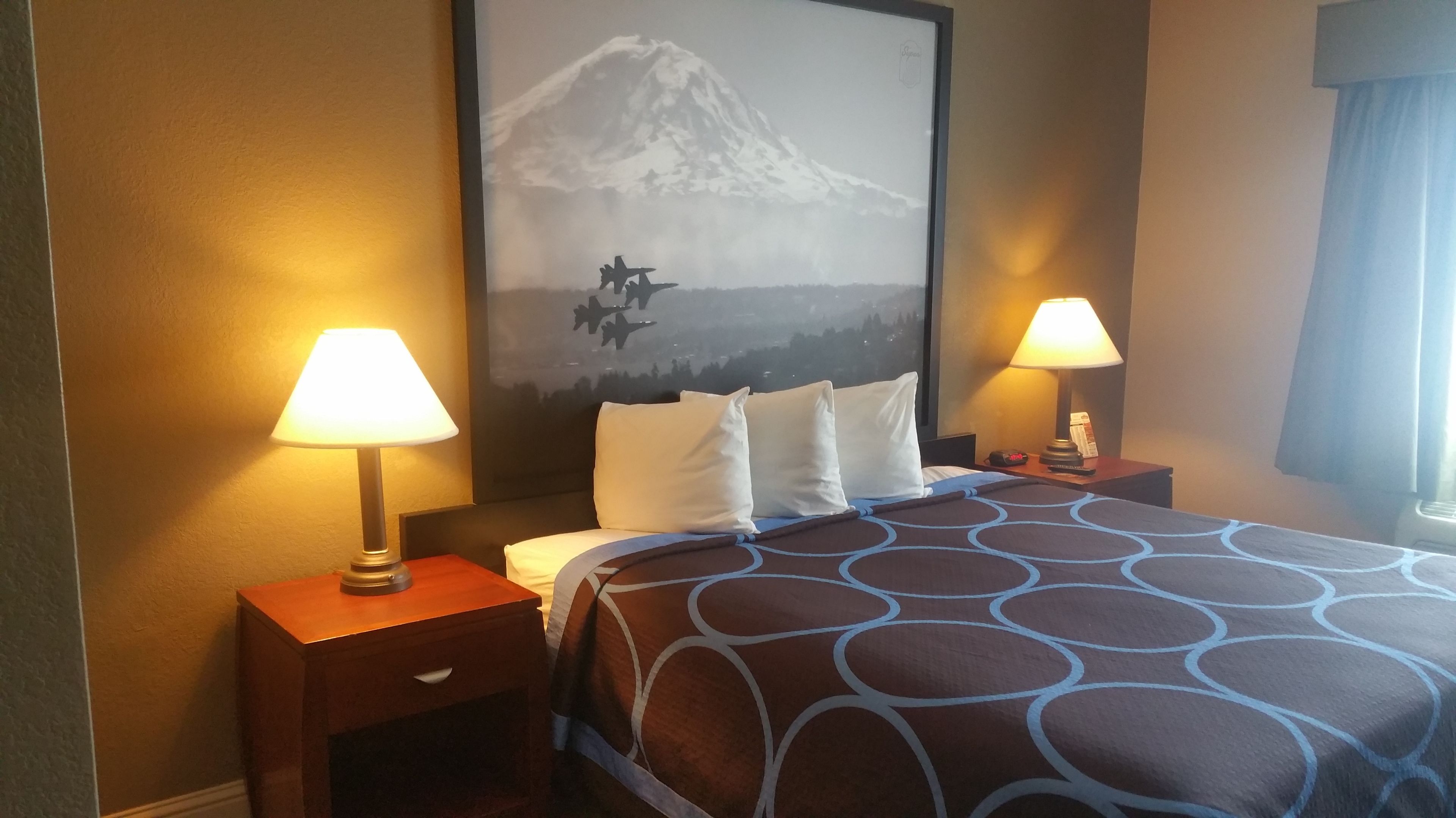 Standard Room, 1 King Bed, Refrigerator | Desk, iron/ironing board, free cribs/infant beds, free WiFi