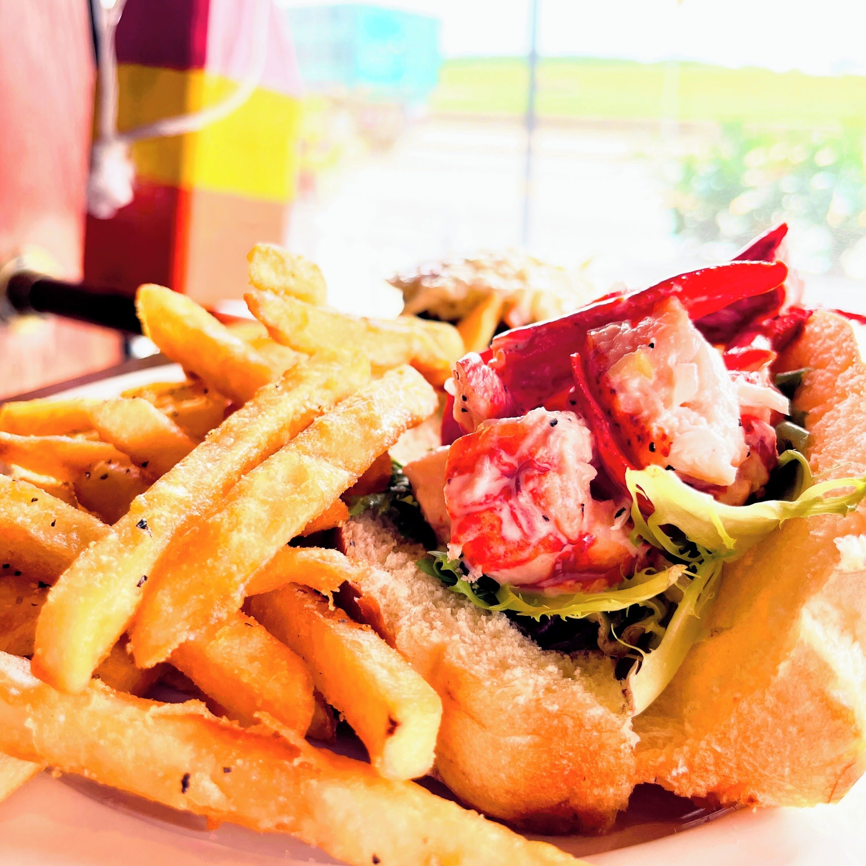A sandwich with fries on a plate.