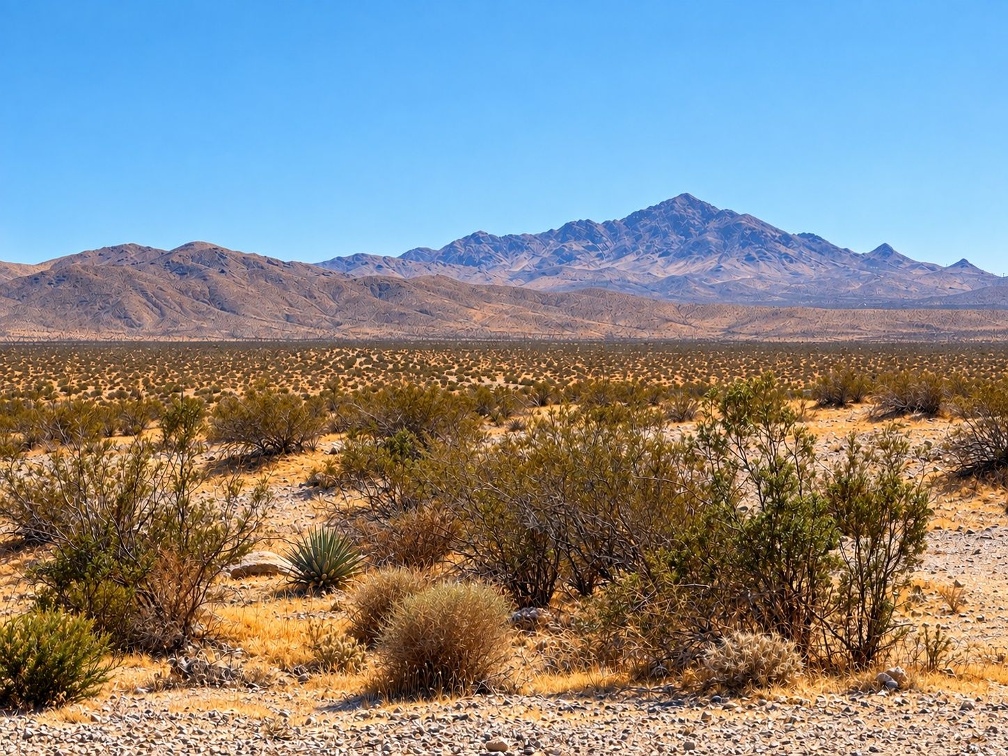 A desert landscape with sparse vegetation and a mountain range in the background.
