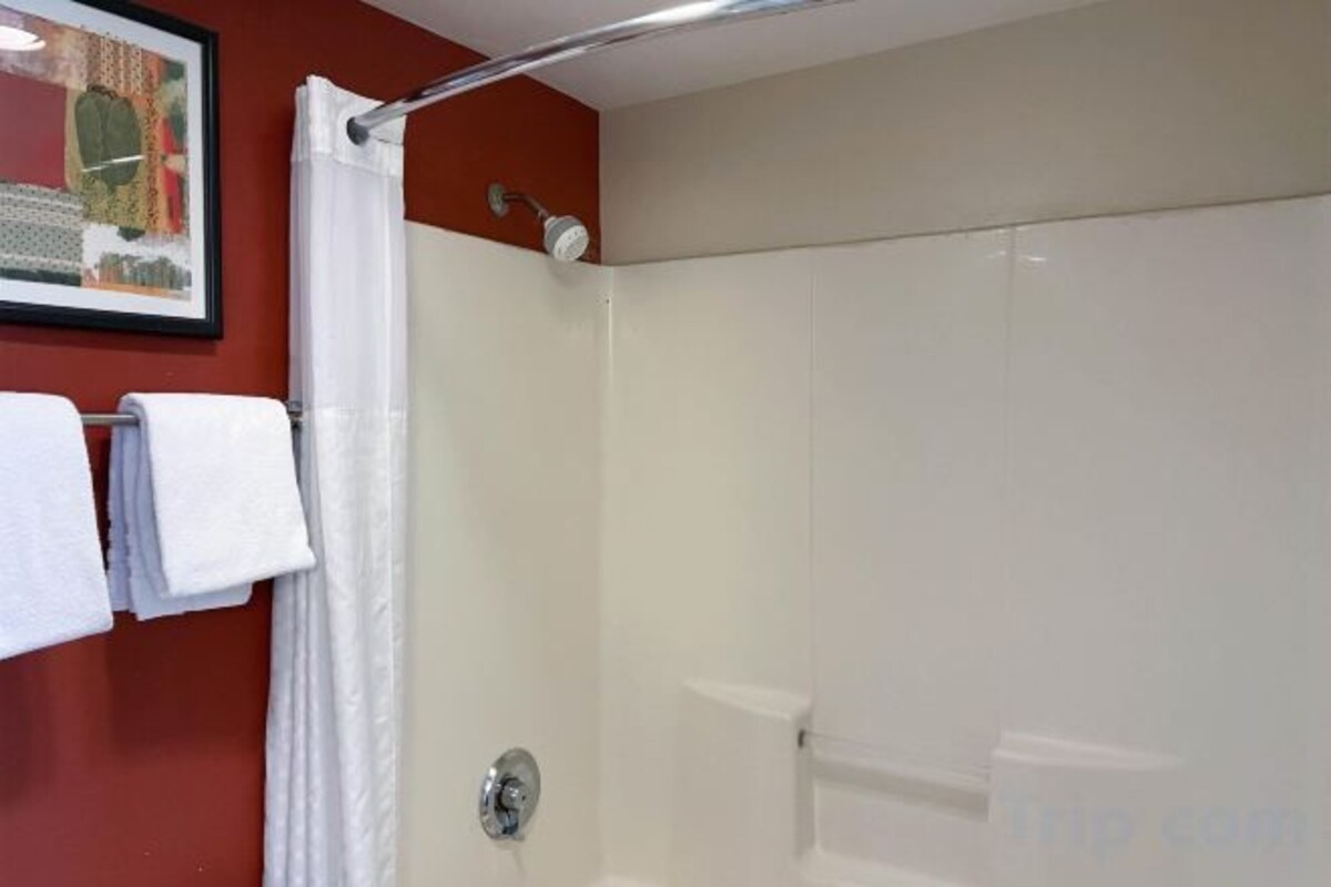 Bañera con ducha, secador de pelo, toallas