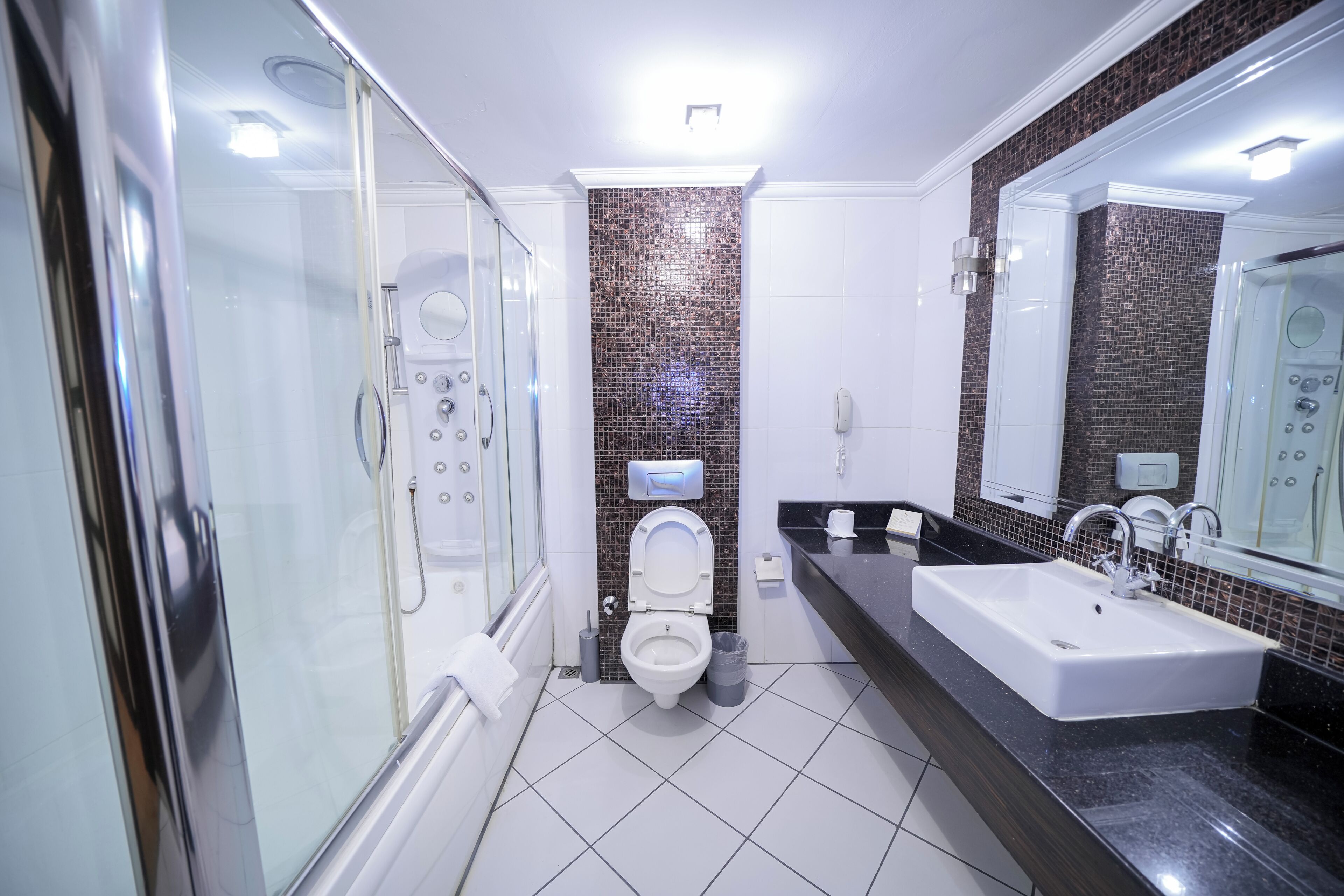 A modern bathroom with a glass shower enclosure, a toilet, a sink, and a mirror.