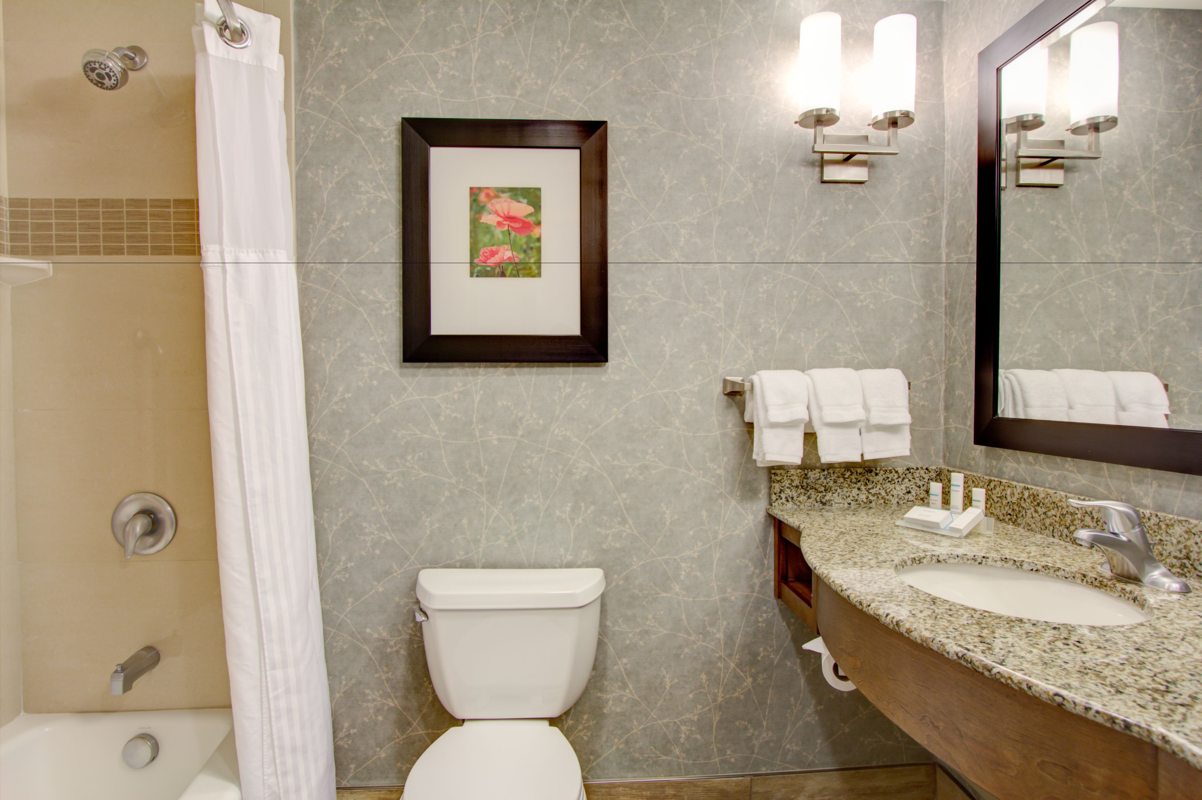A bathroom with a shower, toilet, sink, and a framed picture on the wall.