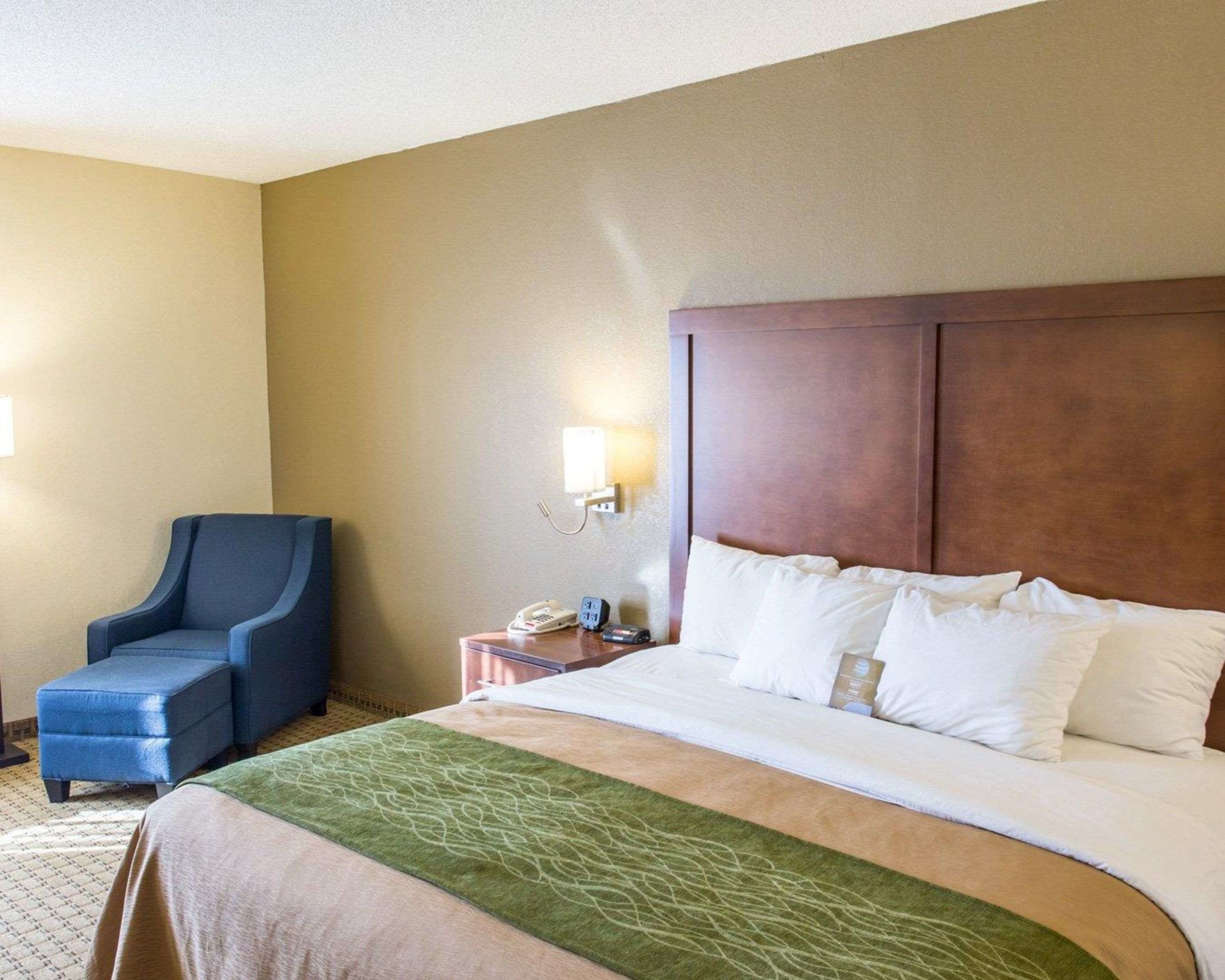 Quarto de hotel com uma cama, uma poltrona azul, uma mesa de cabeceira com telefone e luminária, e um tapete de área estampado em verde.