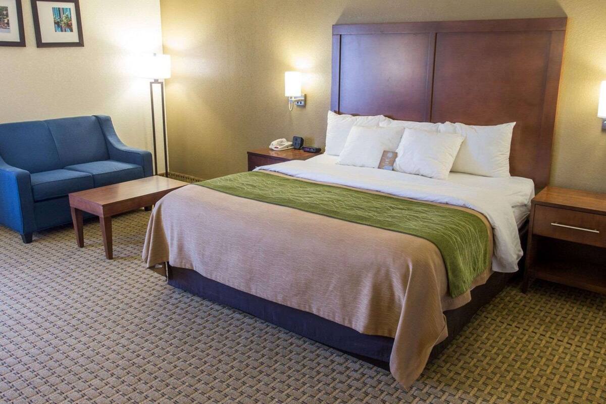 A hotel room with a bed, bedside tables, a desk, a chair, and a ceiling fan.