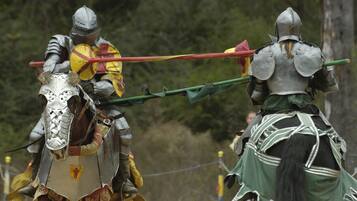 Two individuals in medieval armor on horseback, engaged in a jousting match.