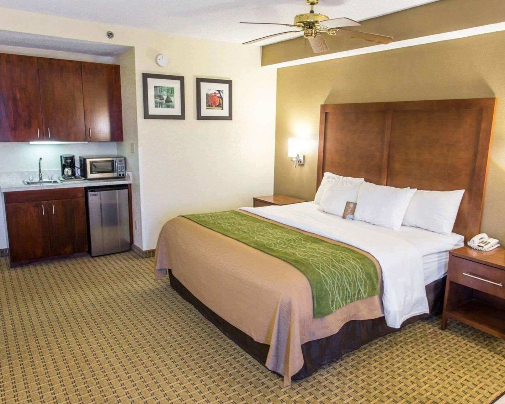 Premium bedding, desk, blackout drapes, iron/ironing board
