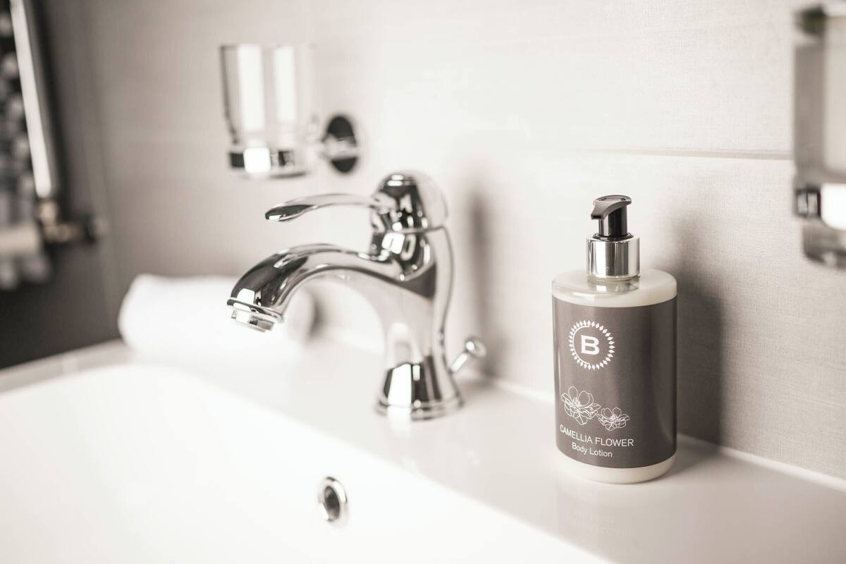 suite, balcony (lake & mountain view) | 1 bedroom, premium bedding, down duvets, minibar