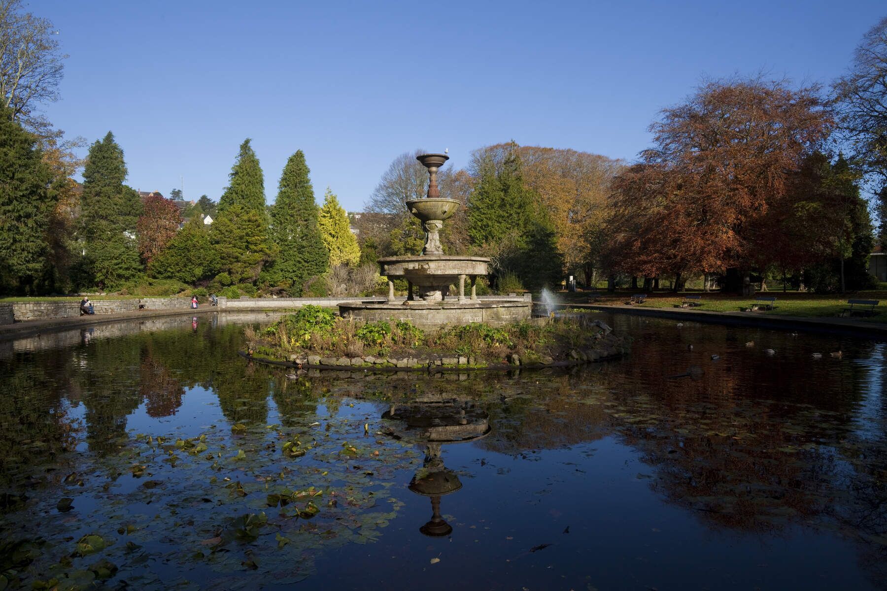 Foto - Clayton Hotel Silver Springs