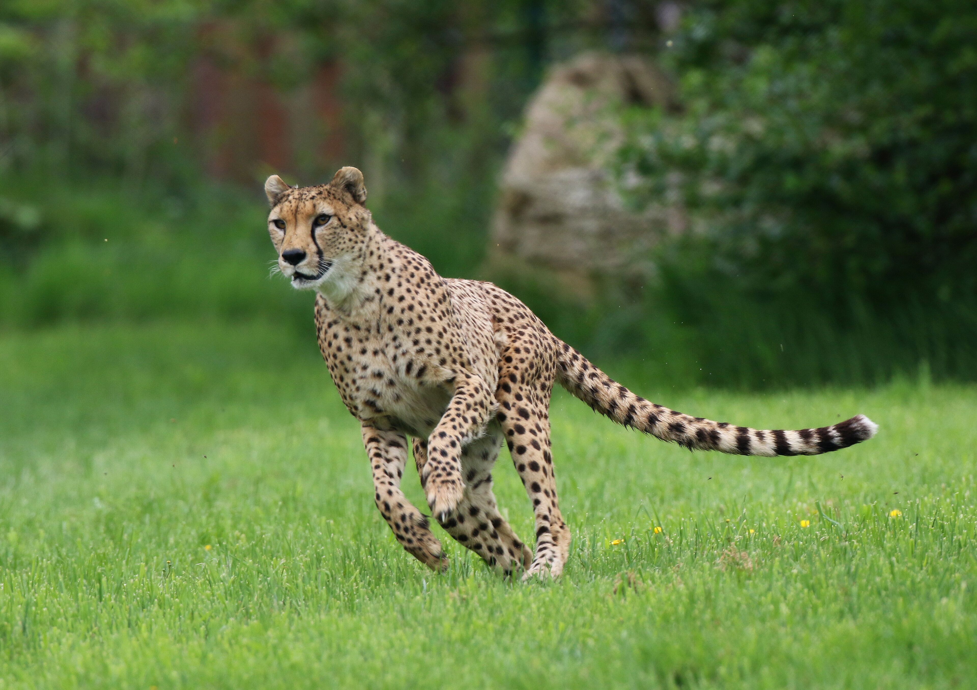 Foto - Clayton Hotel Silver Springs