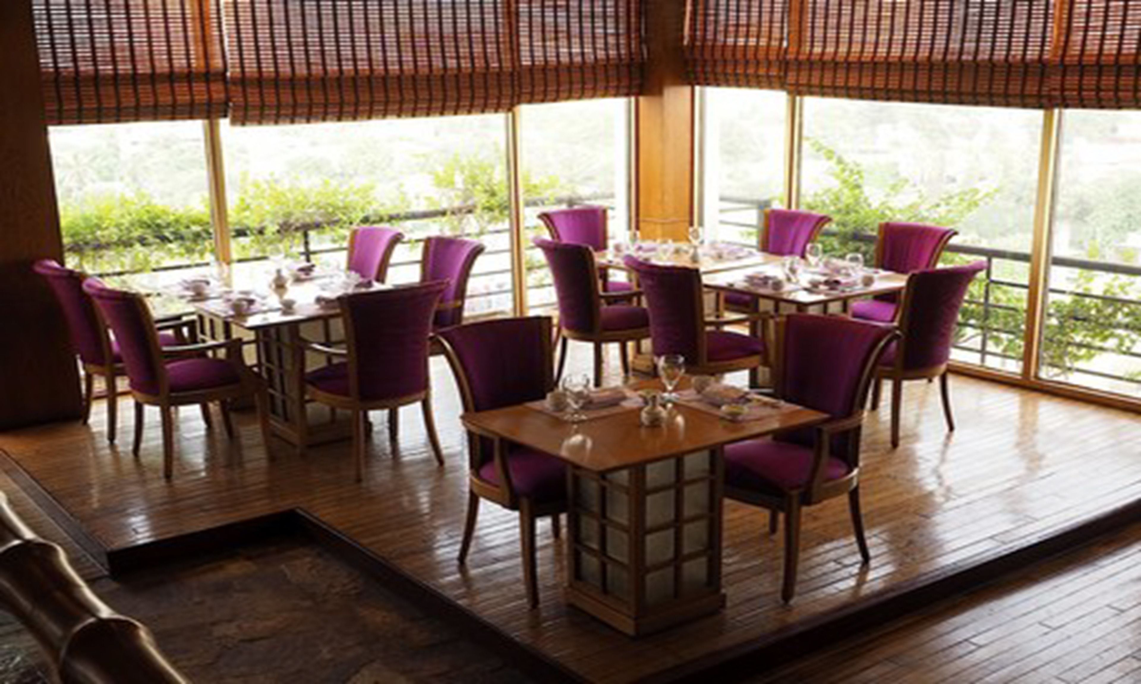 A dining area with wooden tables and purple chairs, large windows with a view of greenery, and a wooden floor.