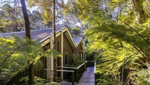 Une cabane en bois, dotée d’un toit en pente, entourée d’une végétation luxuriante composée de fougères et d’arbres, et reliée à l’extérieur par un sentier en bois.
