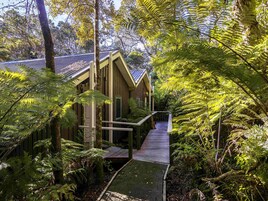 Una cabaña de madera con techo inclinado, rodeada de helechos y árboles frondosos, accesible por un sendero de madera.