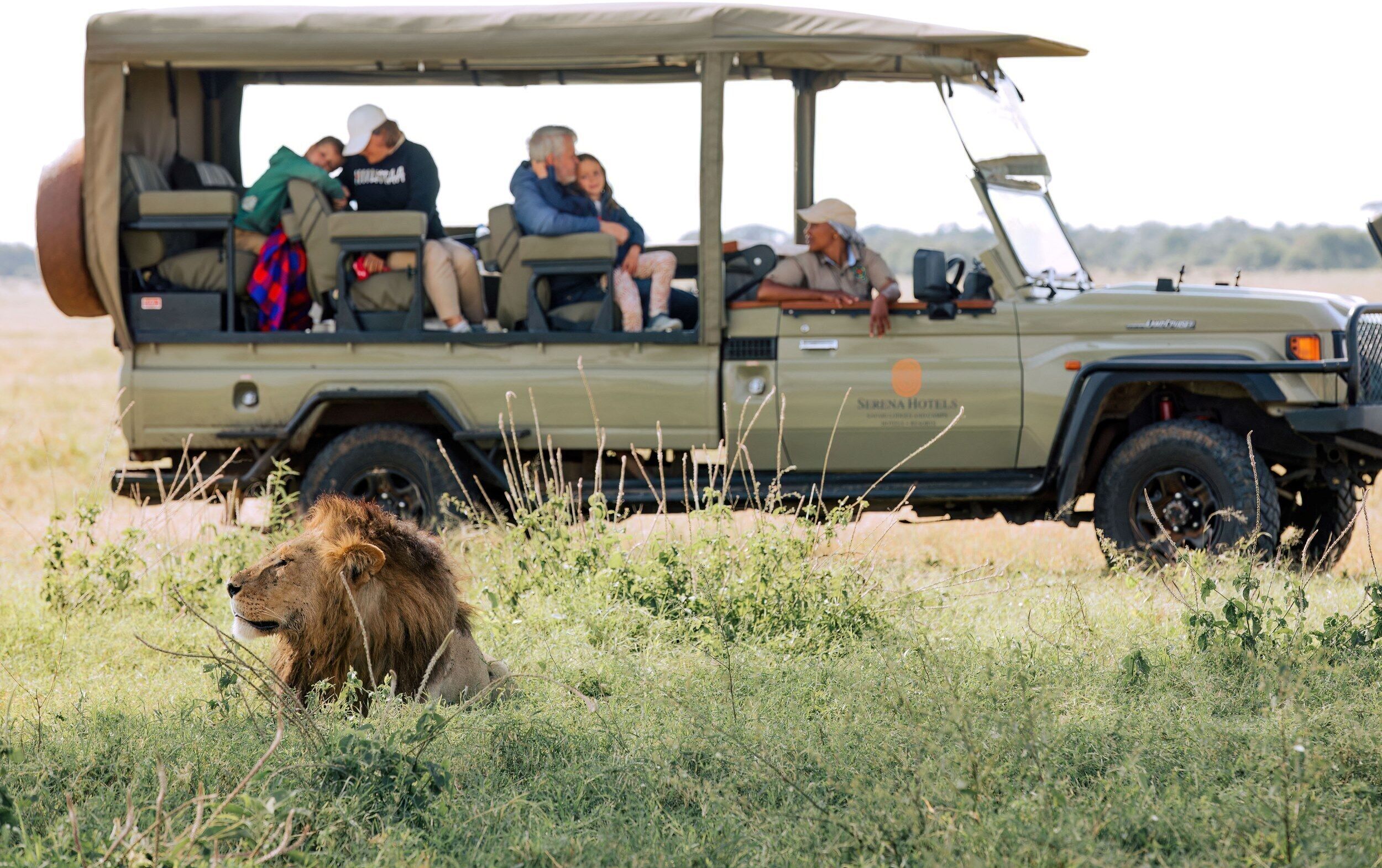 A safari vehicle with passengers and a lion in the foreground.