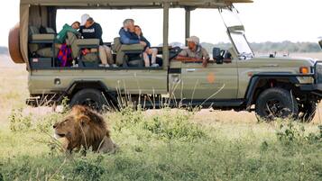 A safari vehicle with passengers and a lion in the foreground.