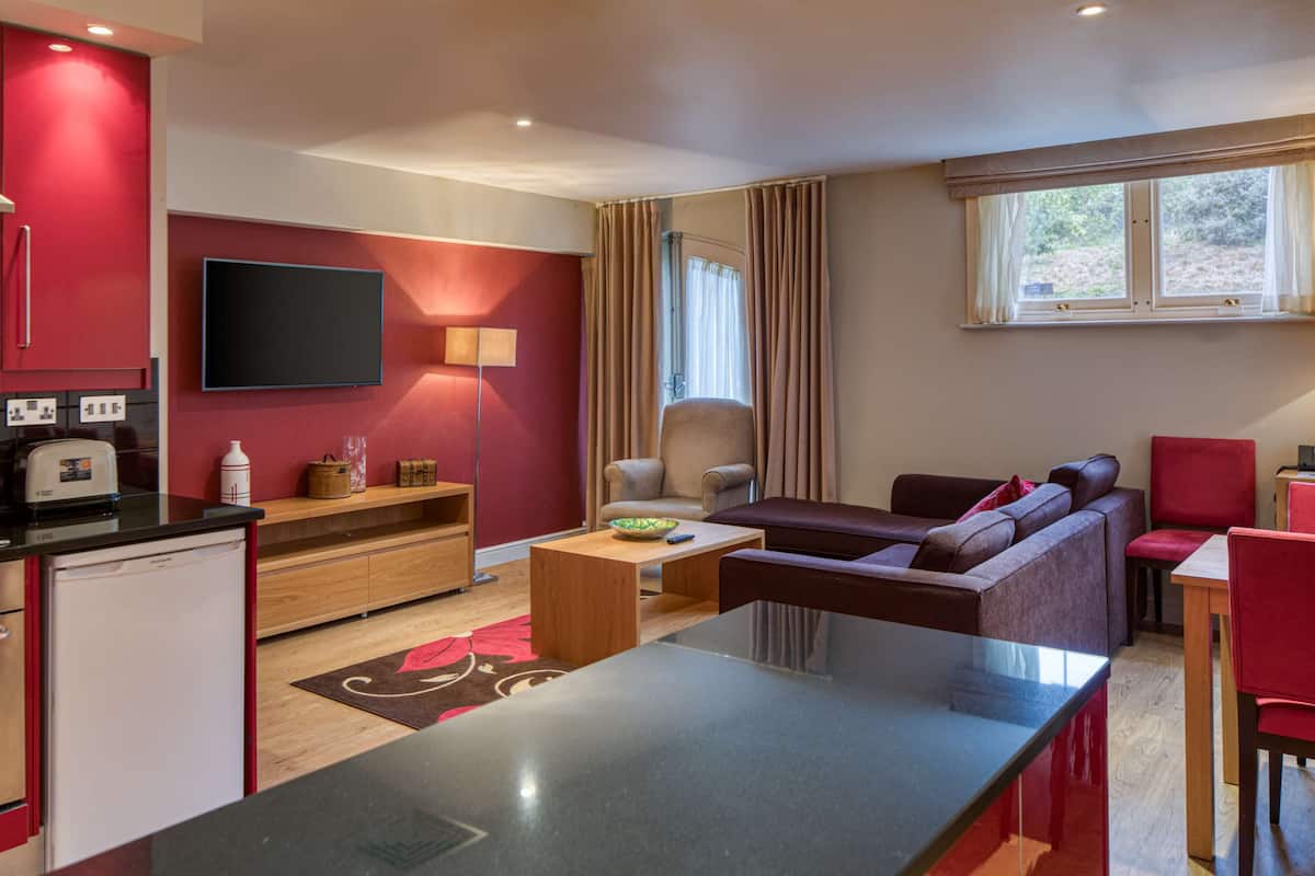 A compact living space with a kitchenette, a flat-screen TV, a sofa, and a dining area.