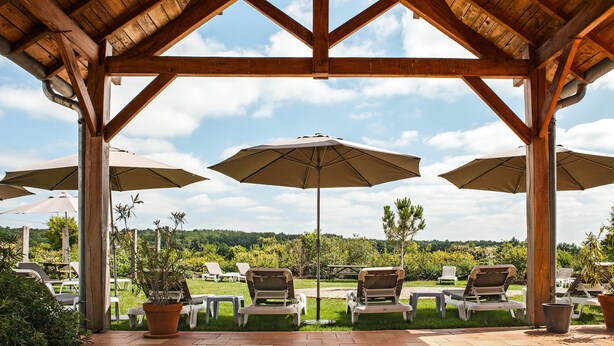 A covered outdoor seating area with wooden beams and beige umbrellas, overlooking a grassy landscape. - Château des Vigiers (Monestier)
