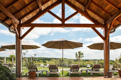 Château des Vigiers