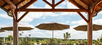 Château des Vigiers