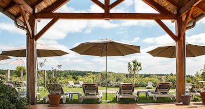 Château des Vigiers