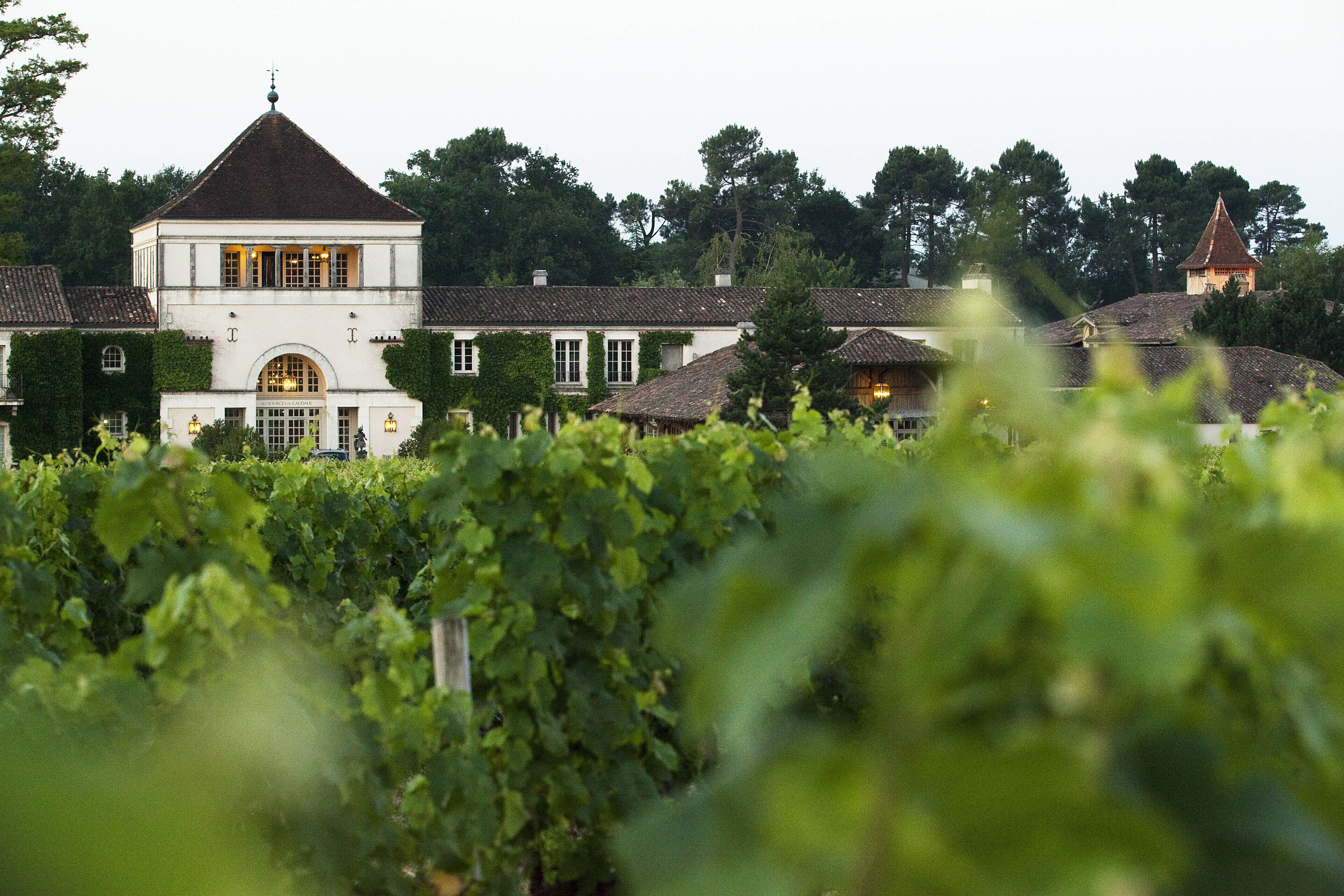A vineyard with a white building featuring a central tower and a traditional roof.