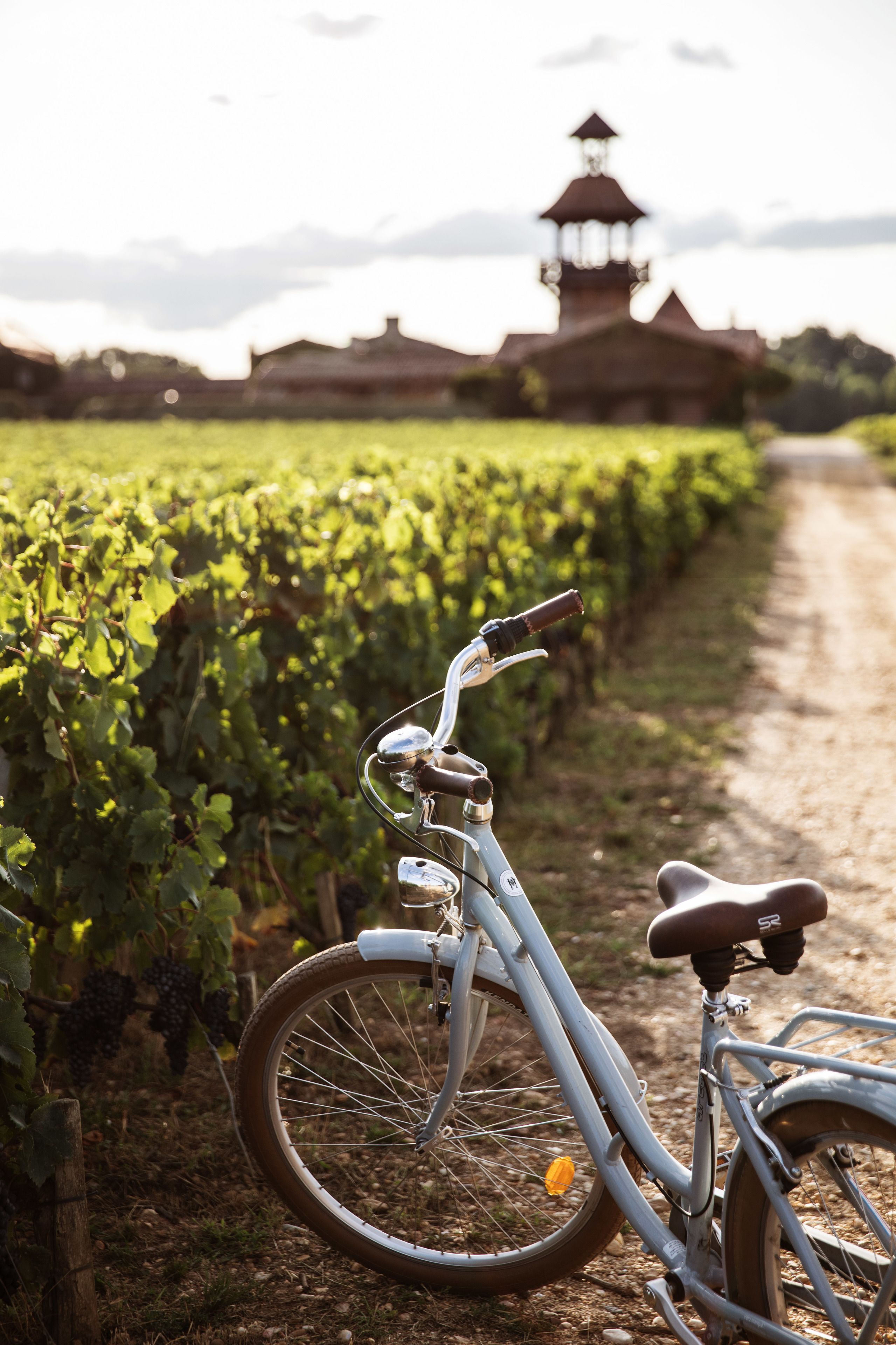 Ein Fahrrad, abgestellt an einem Feldweg neben einem Weinberg.