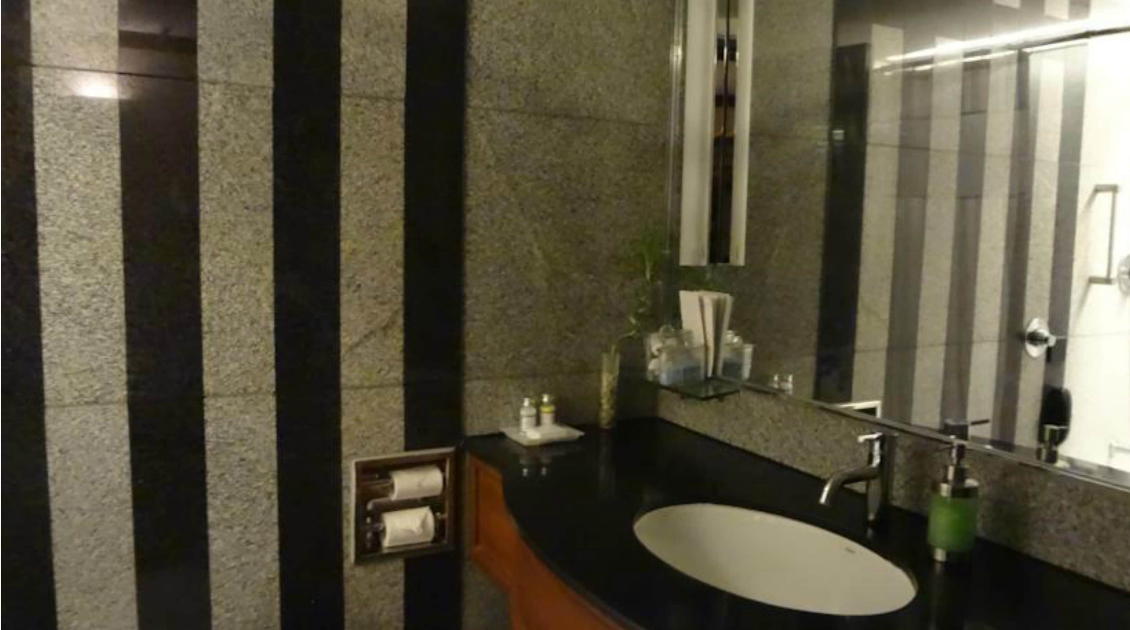 combined shower/bathtub, free toiletries, hair dryer, bathrobes